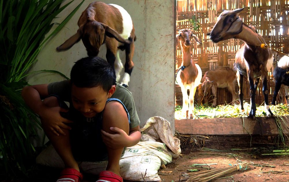 Photograph by Cakrawala Seti