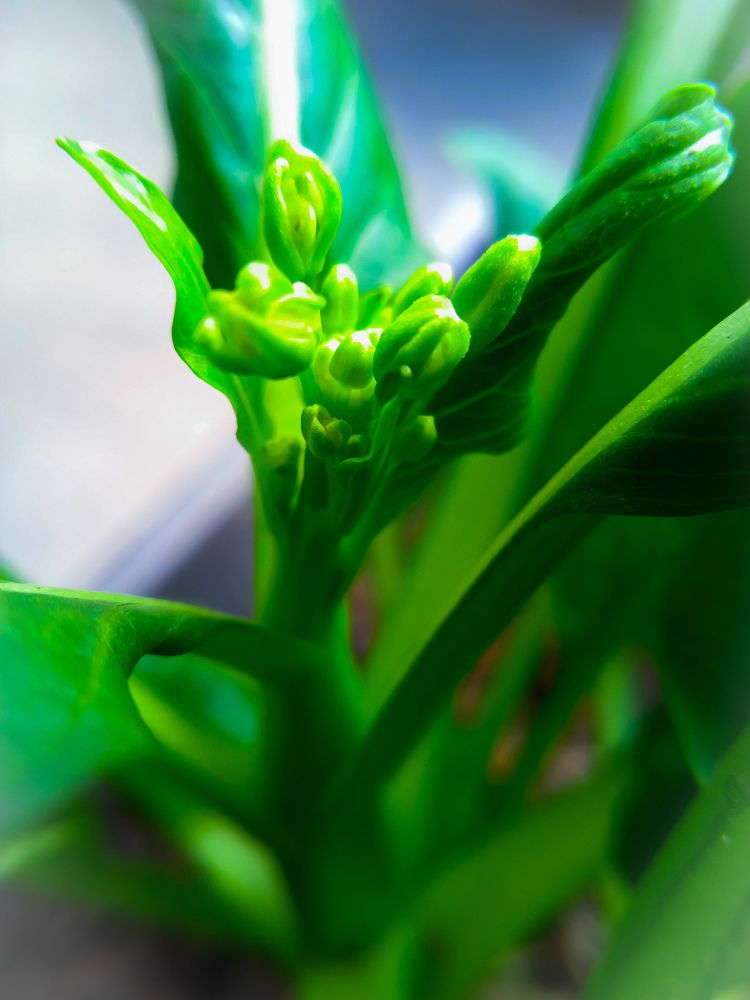 Photo #6400194