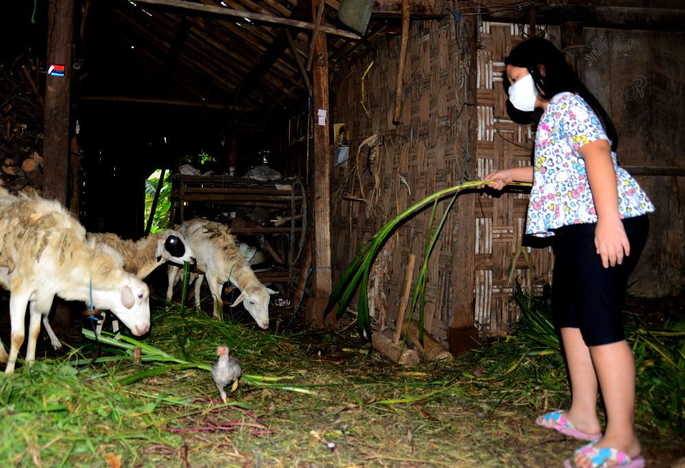 Photograph by Cakrawala Seti