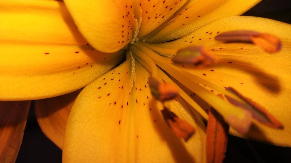 Photograph by Julio Cesar Almeida