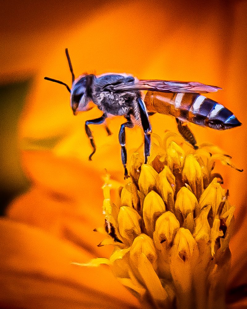 Photograph by Dem Kerrigan