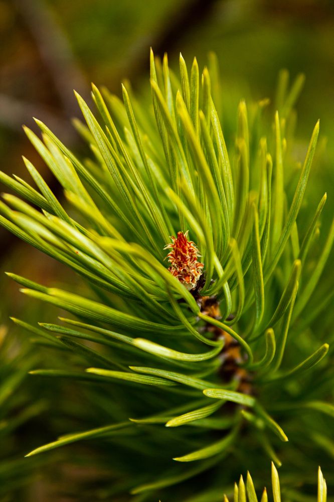 Photograph by Анна Рогачева