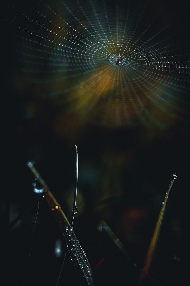 Photograph by Dzintra Zvagina