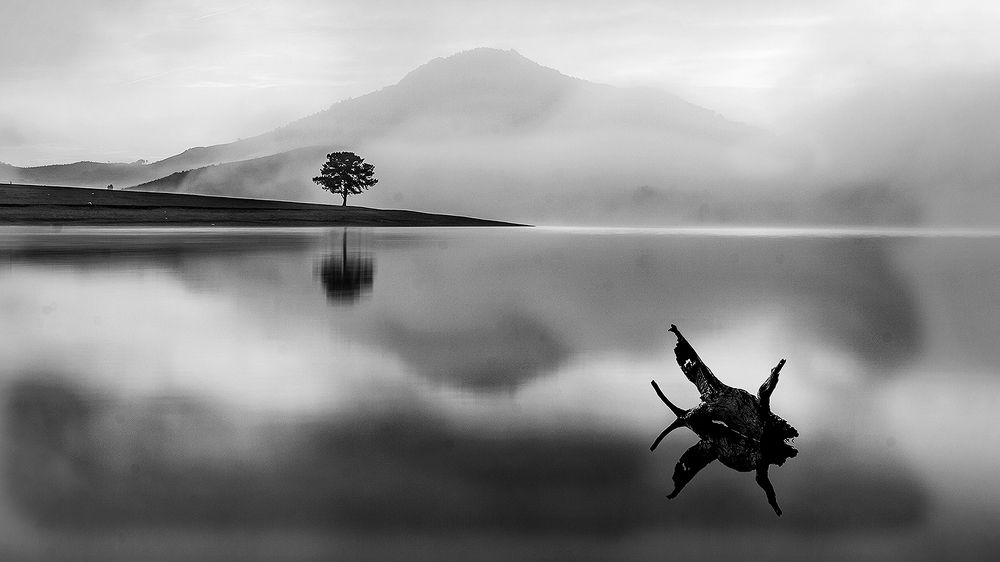 Photograph by Lê Minh