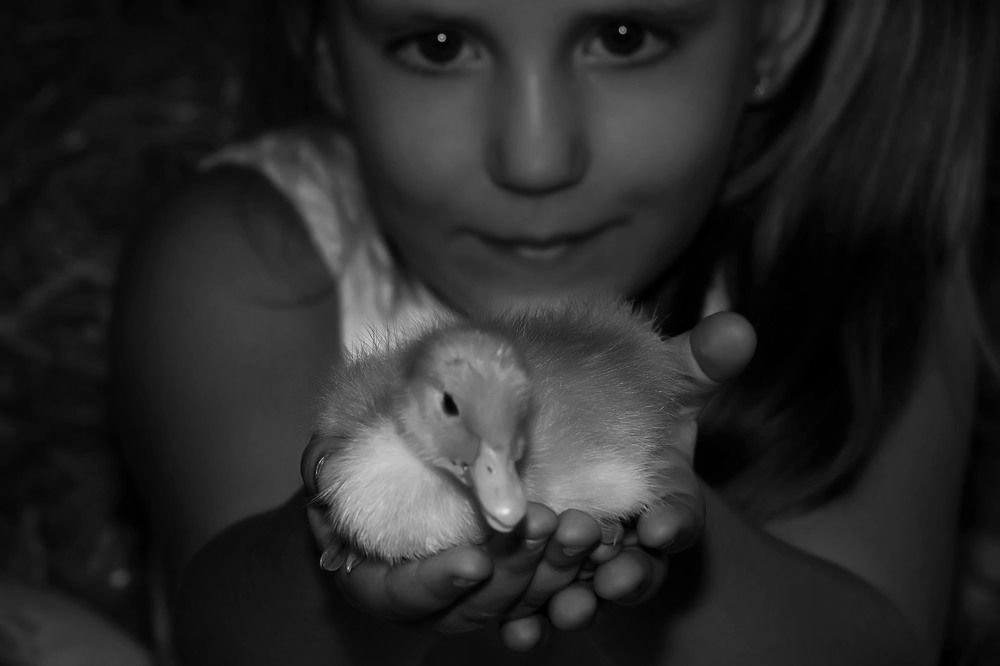 Photograph by Veronika Pershyna