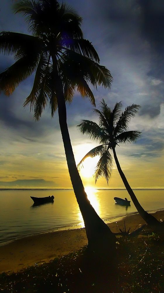 Фотография автора AIRONI A BEROTABUI