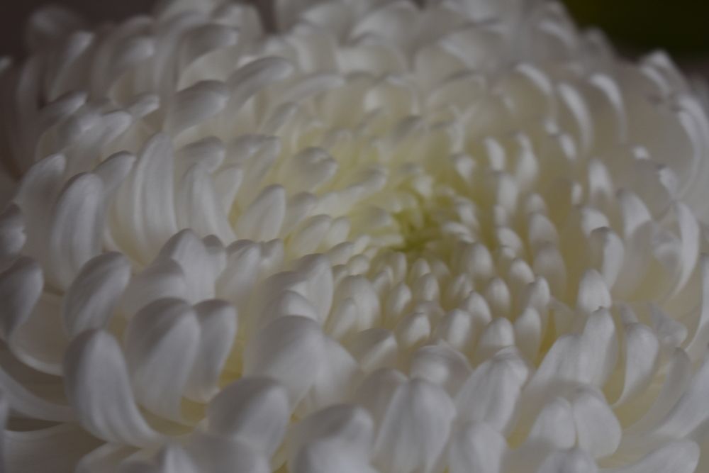 Photograph by Любовь Панфилова