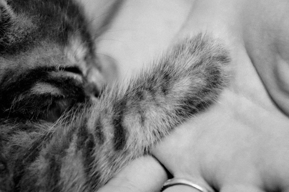 Photograph by Иван Белянин