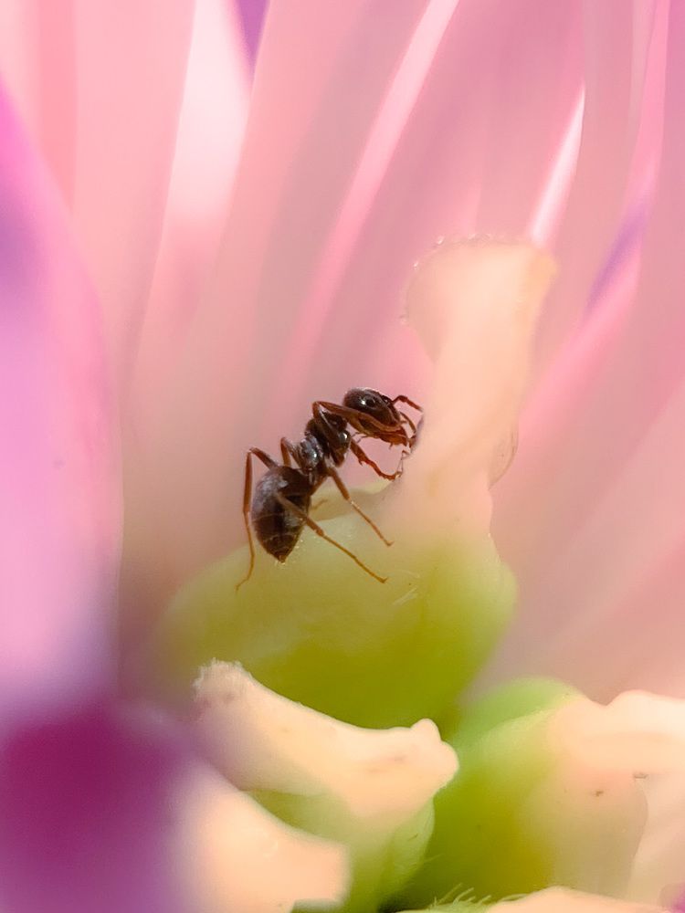 Фотография автора Ольга Лебедева
