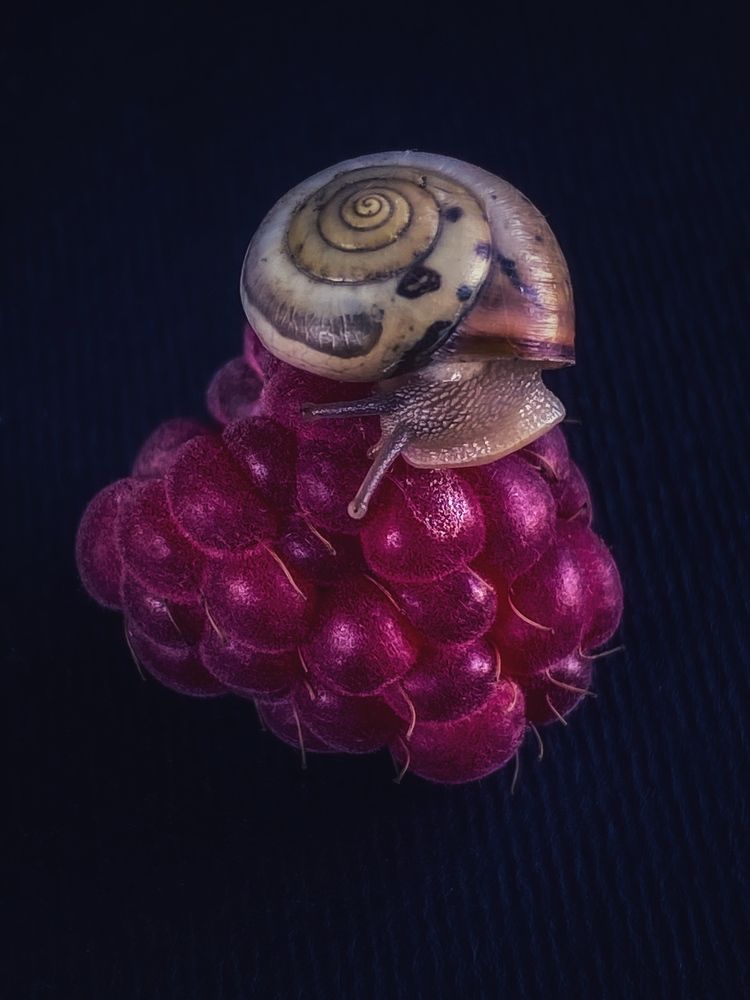 Photograph by Ольга Скиба