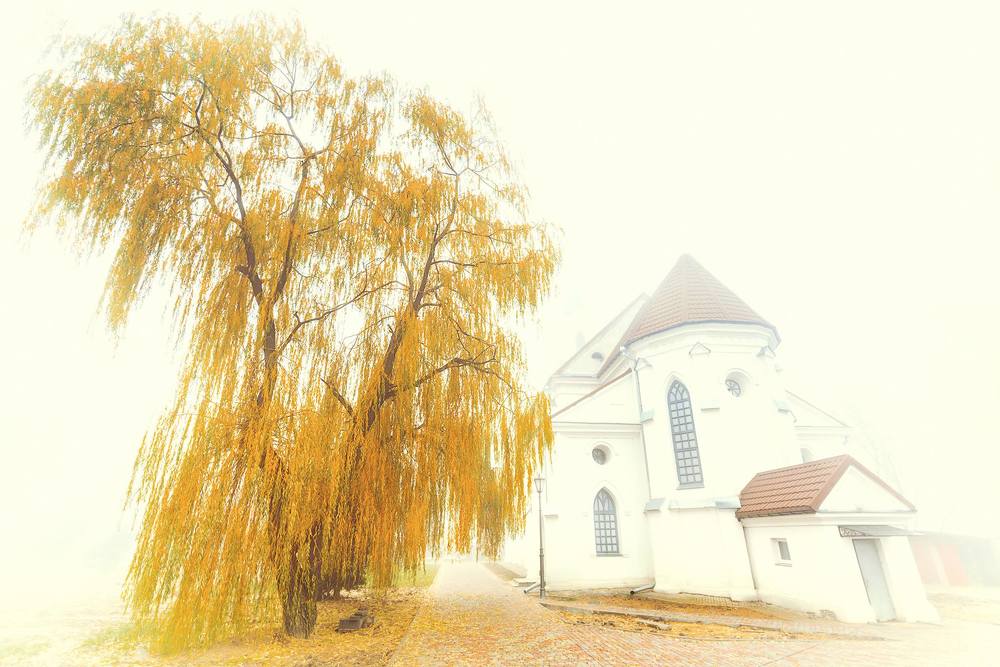 Фотография автора Валерий Невмержицкий