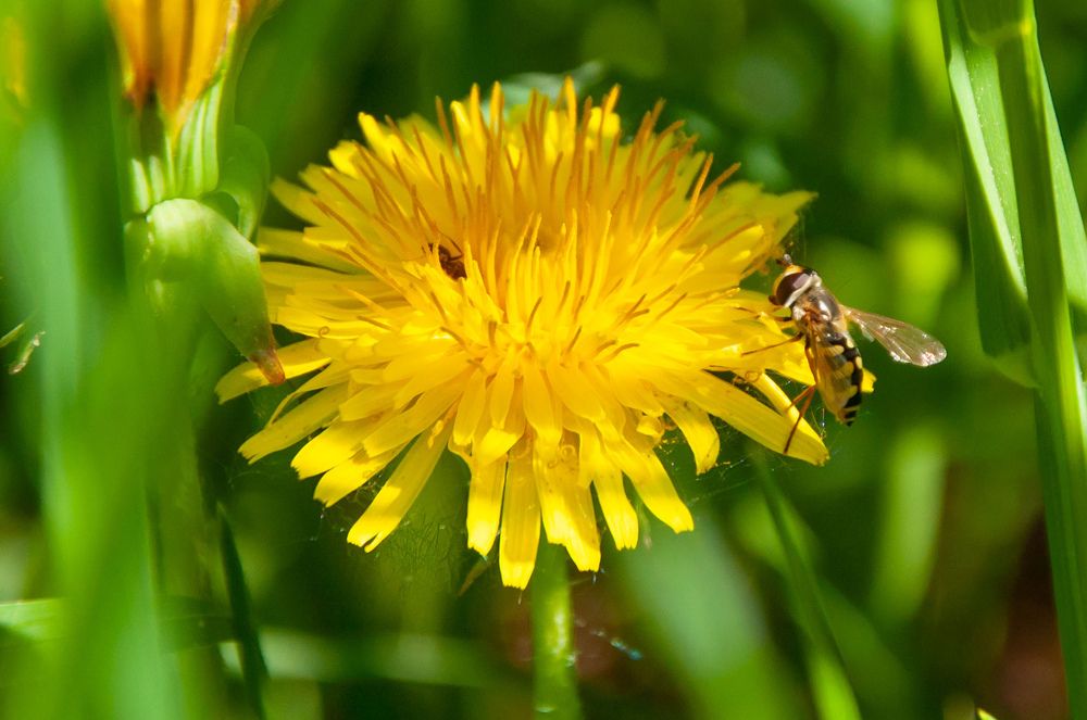 Photograph by Артём Шестаков