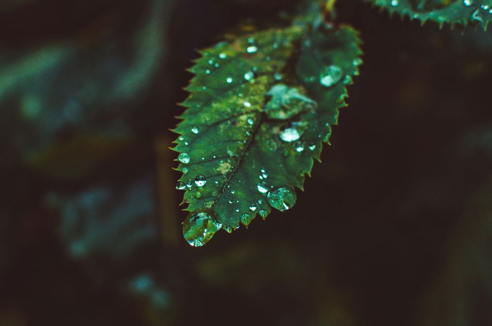 Photograph by Артём Шестаков