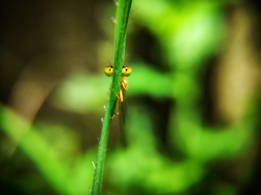 Photograph by PRABAGARAN V