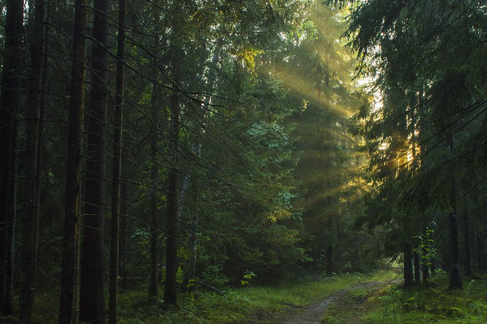 Photograph by Вячеслав Булатов