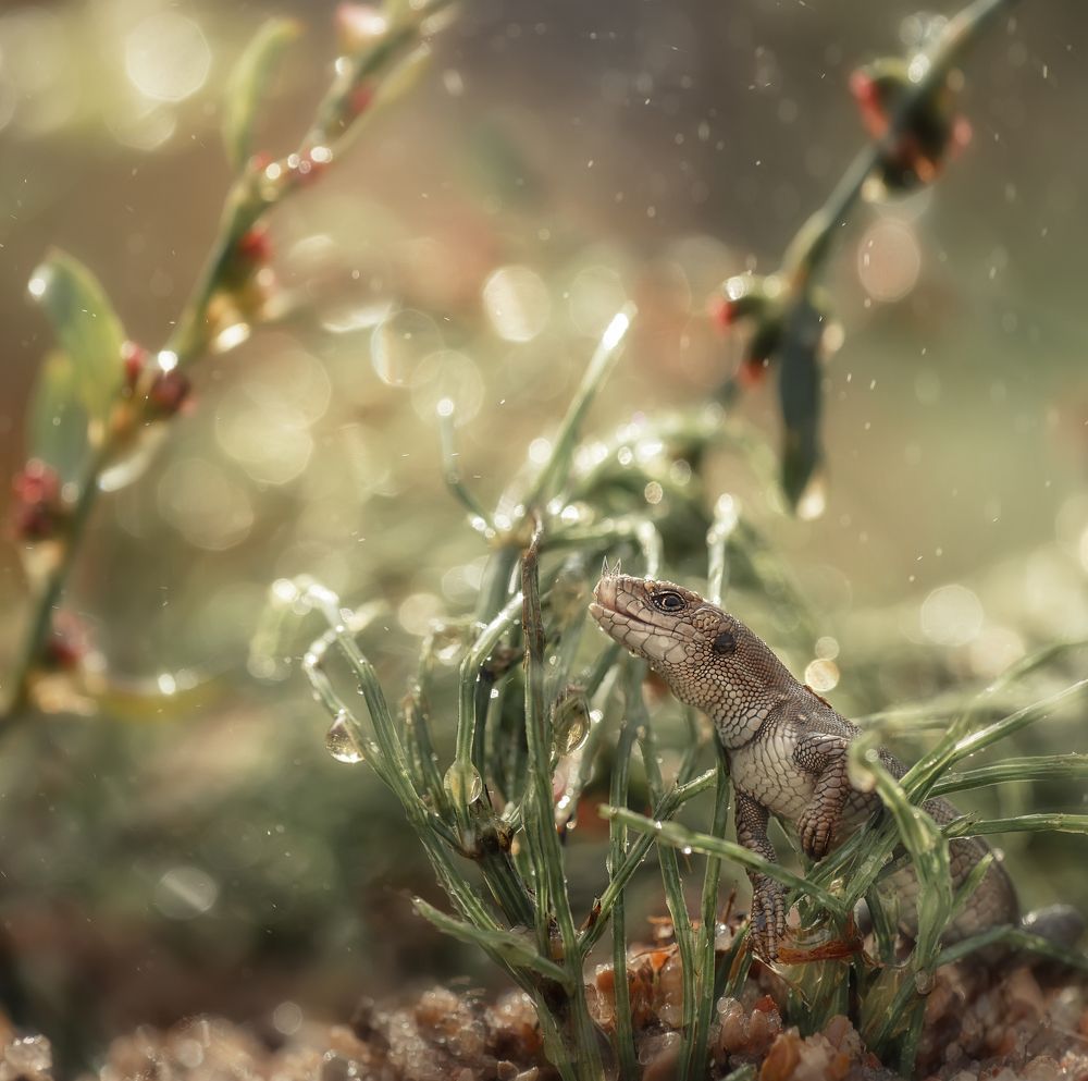 Photograph by Тарасова Ольга