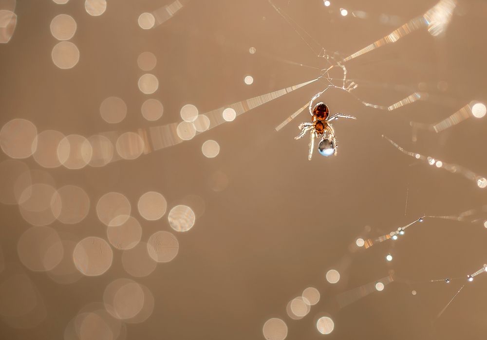 Photograph by Тарасова Ольга