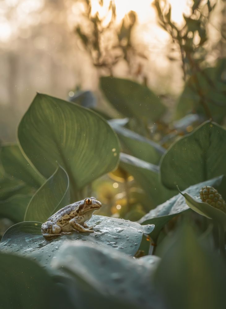 Photograph by Тарасова Ольга