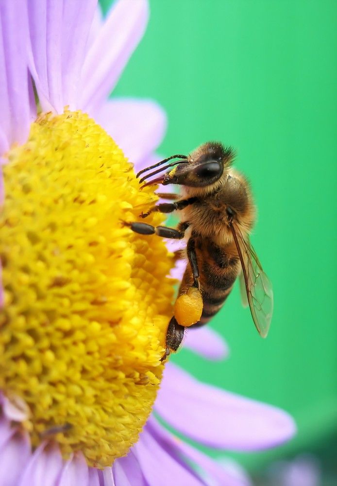 Photograph by Андрей Потапов