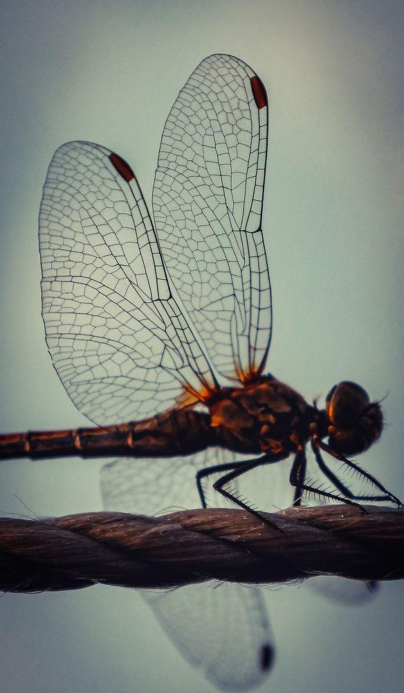 Photograph by Андрей Потапов