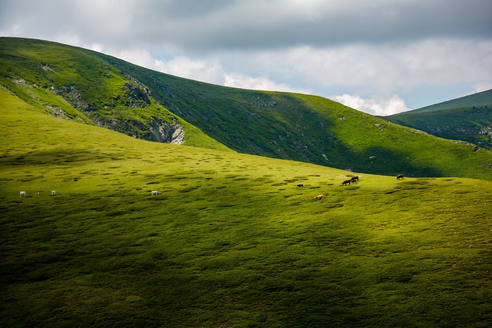 Фотография автора Ivelina Petkova