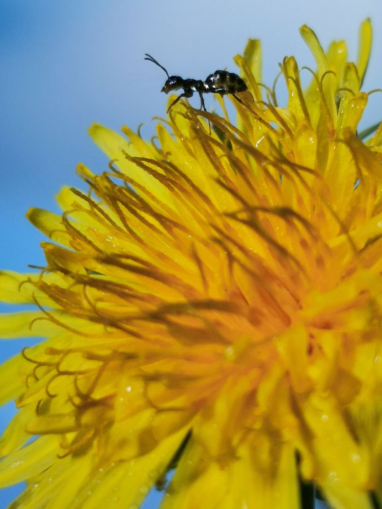 Photograph by Юлия Осипенко