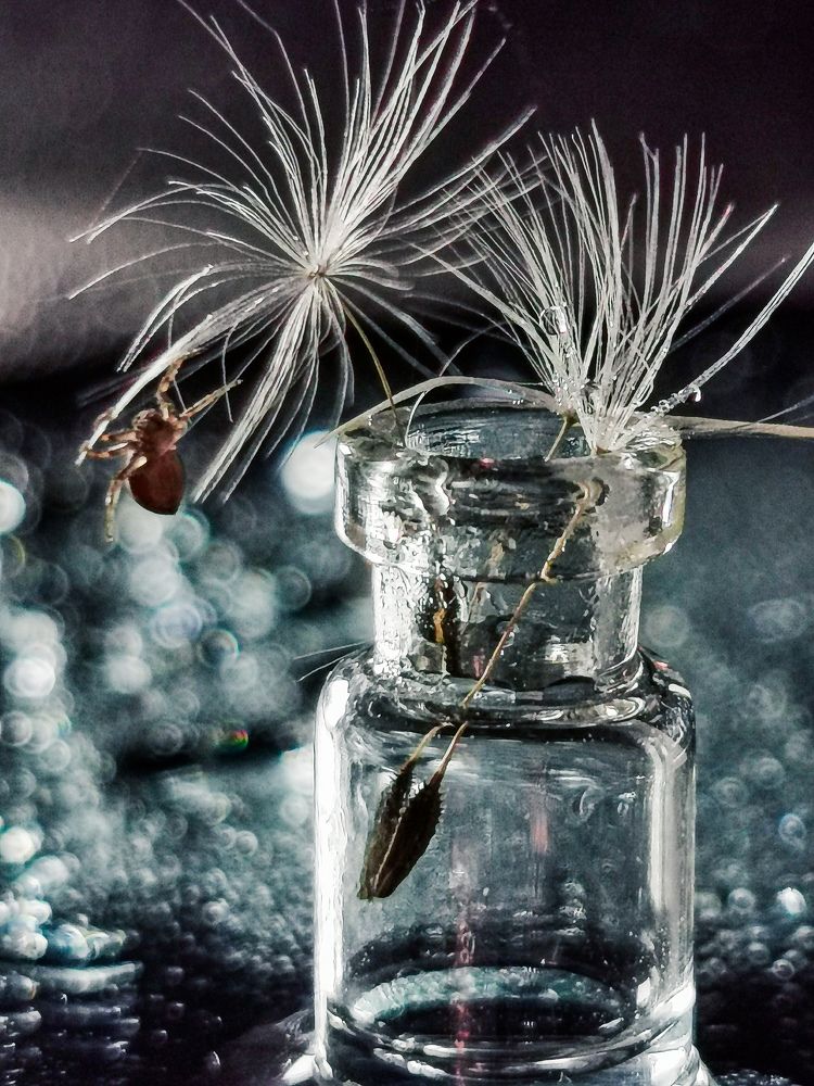 Photograph by Юлия Осипенко