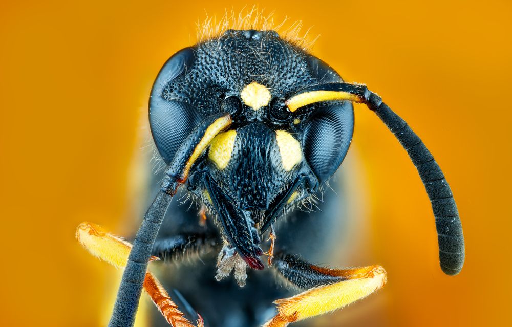 Photograph by Hall Stefanie