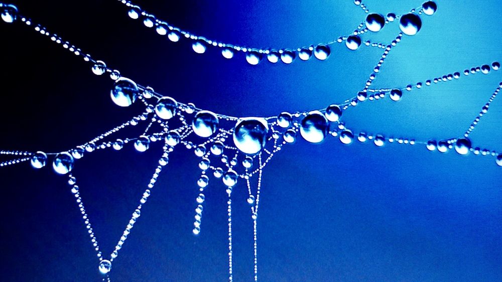 Photograph by phantoms thief