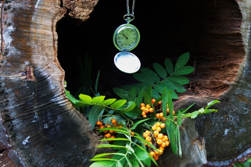 Photograph by Анатолий Протасов