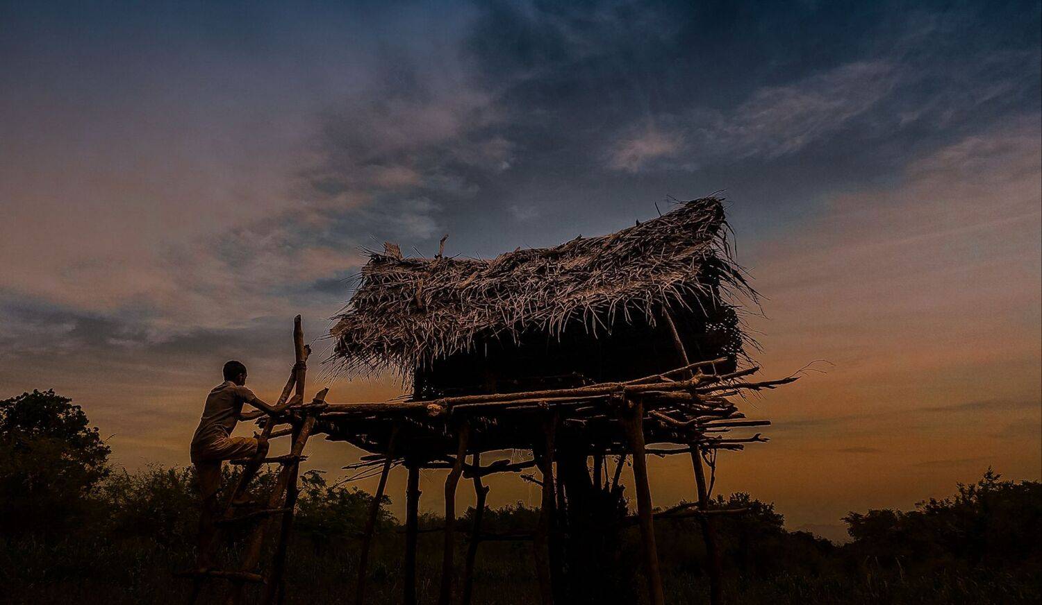 A night of a farmer