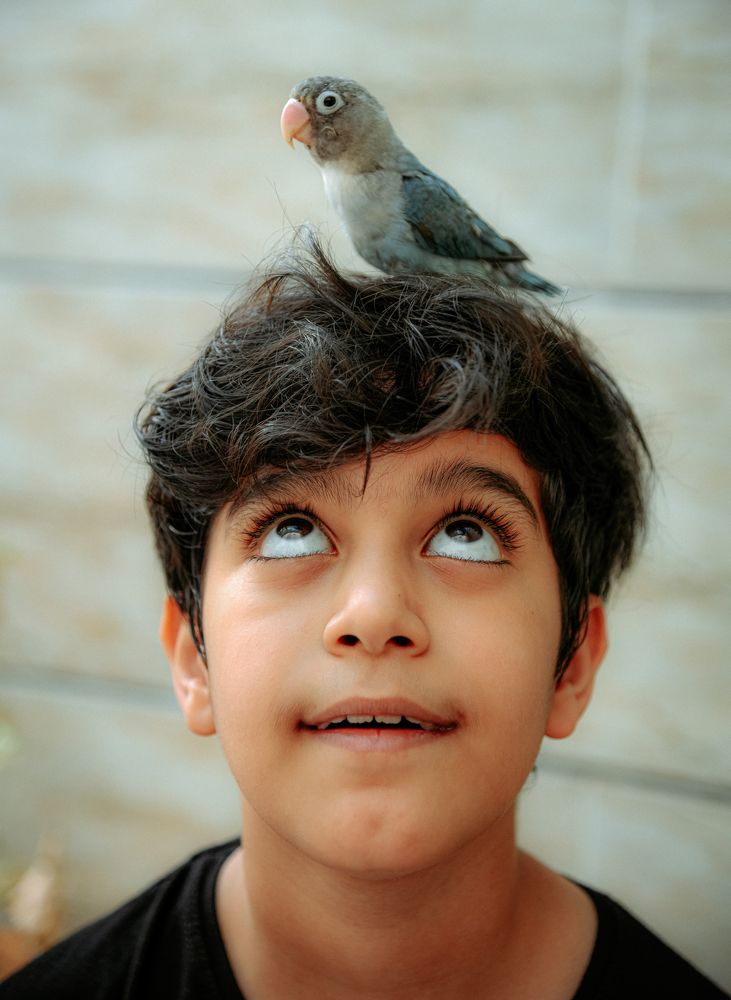 Фотография автора Z Fatemi