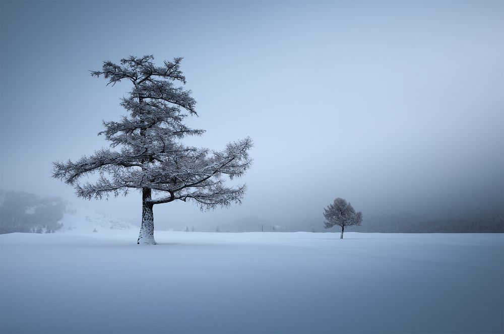 Фотография автора lee Jun