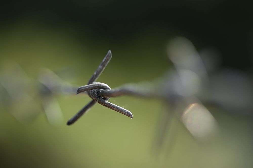 Photograph by DZMITRY