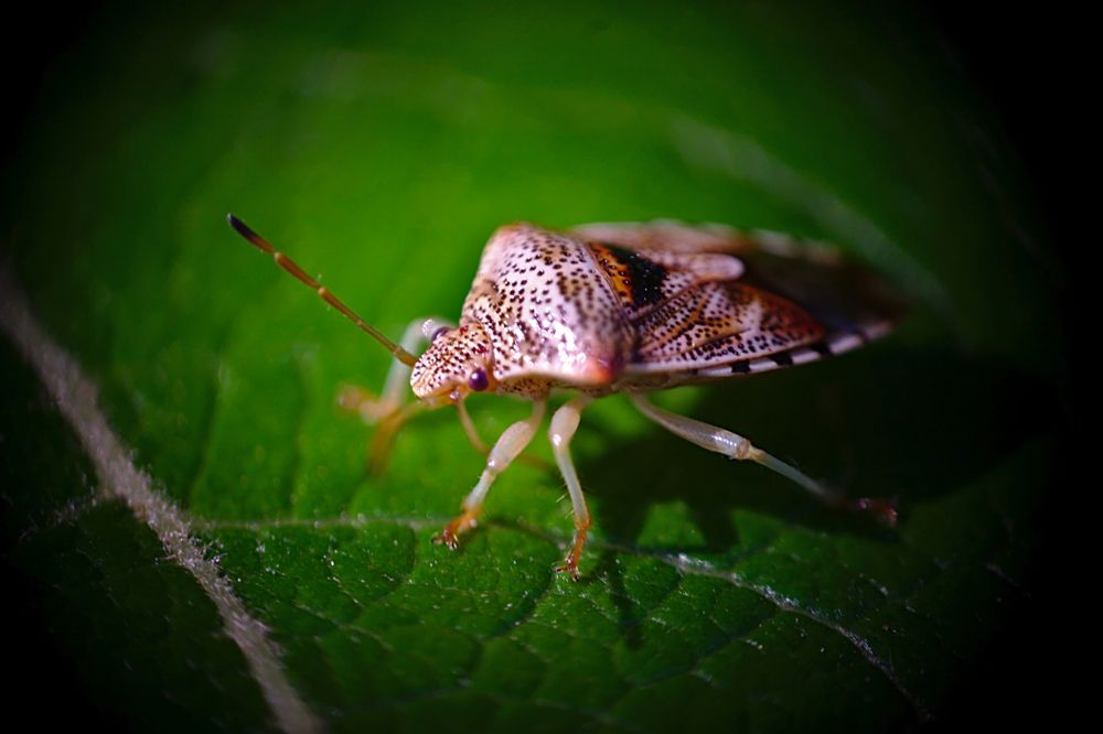 Photograph by Евгений Беленков