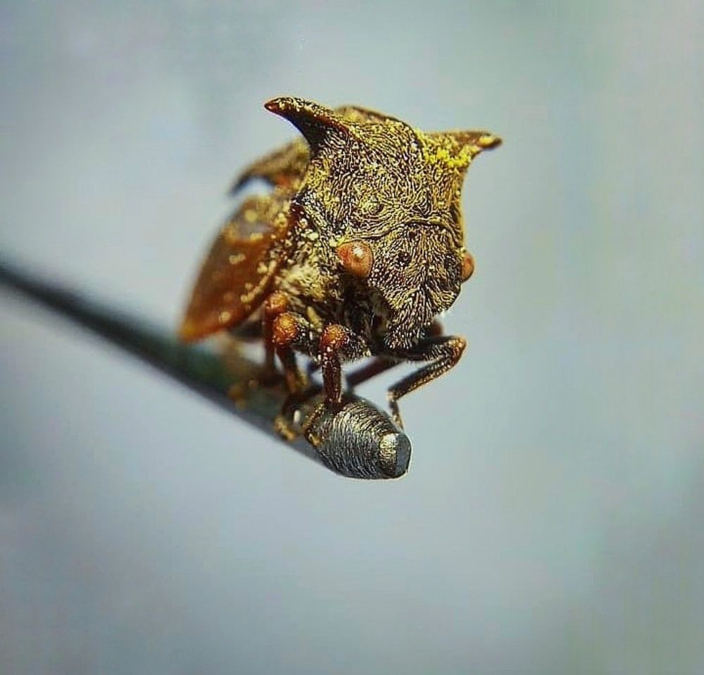 Photograph by Жанна Усатова