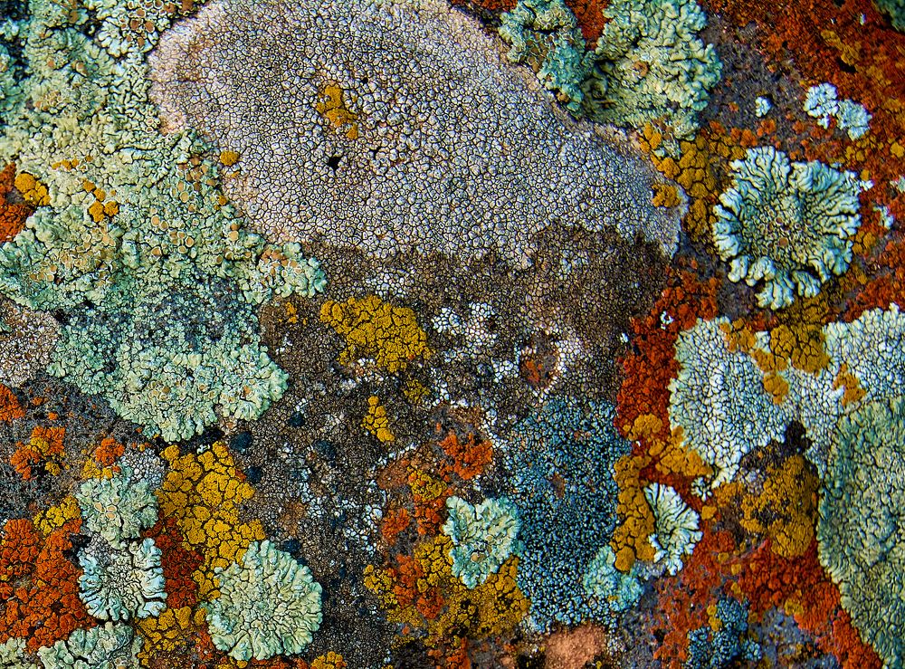 Photograph by Ашот Егиазарян