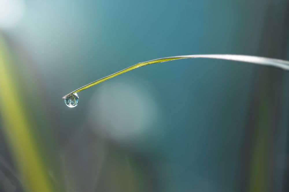 Photograph by DZMITRY