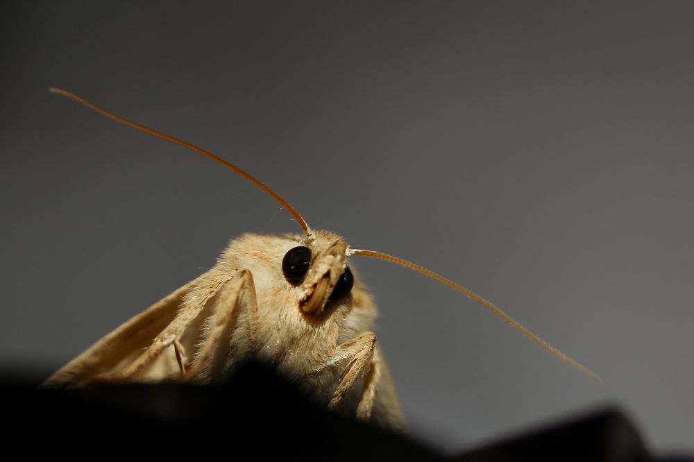 Photograph by Наталья Рябоконенко