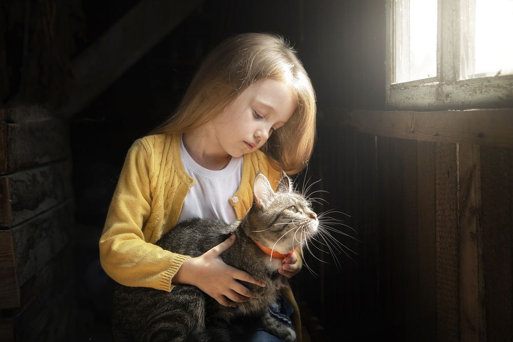 Девочка с кошкой у окна