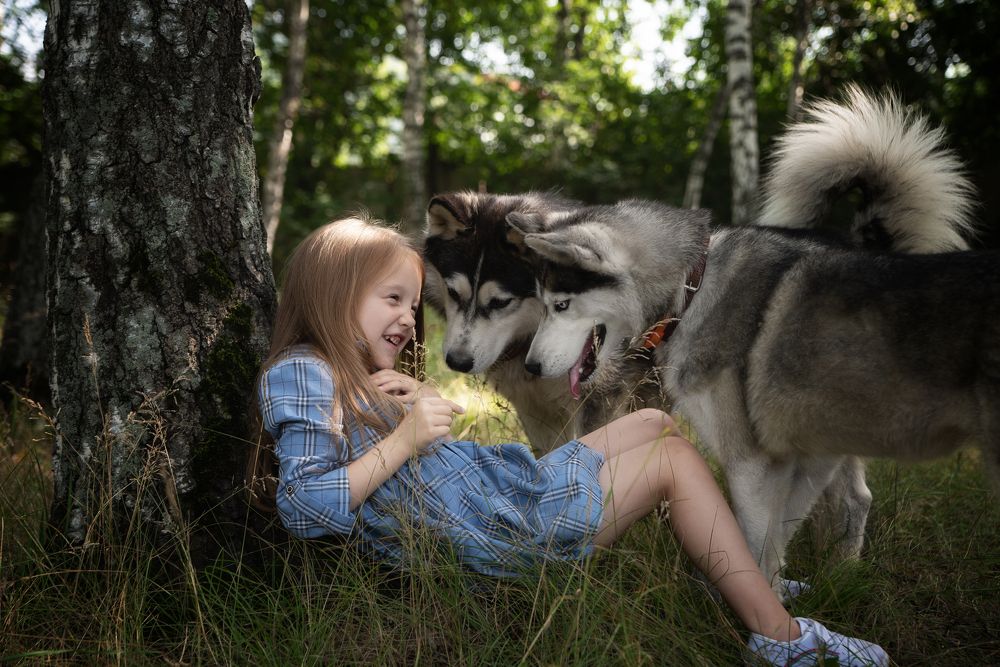 Девочка с собаками