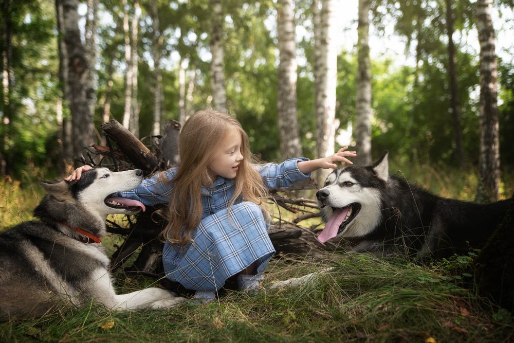 Девочка в лесу с хаски