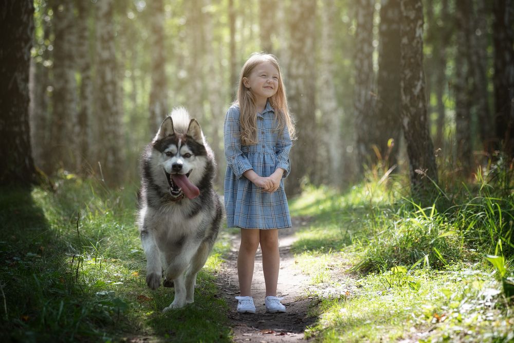 Девочка с хаски