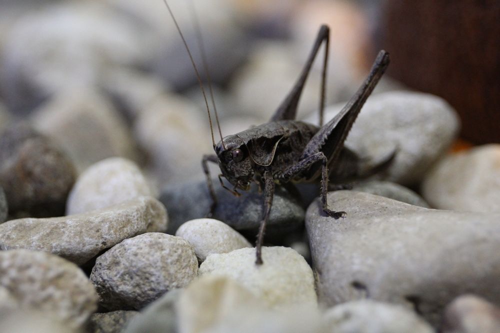 Photograph by Наталья Рябоконенко