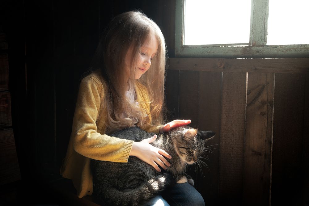 Девочка с кошкой на чердаке