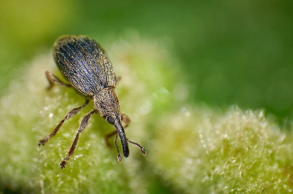 Photograph by Ашот Егиазарян