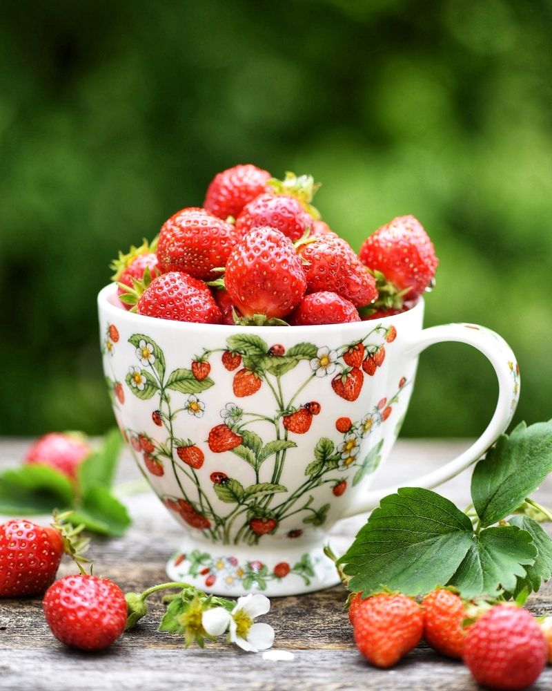 Первая клубника