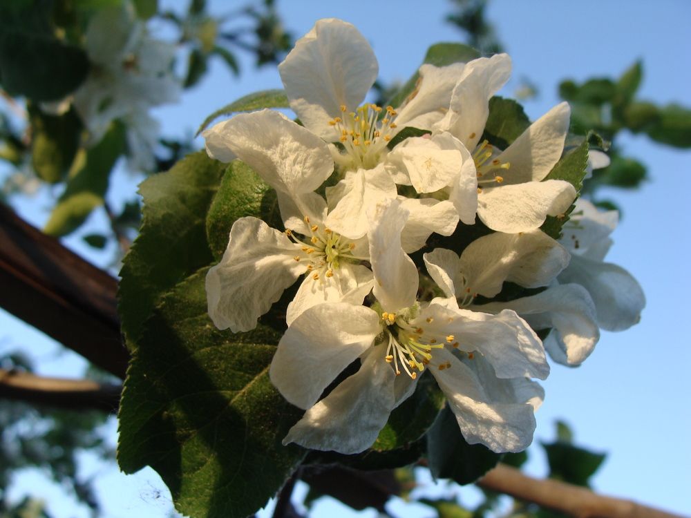 Photograph by Николай Худяков