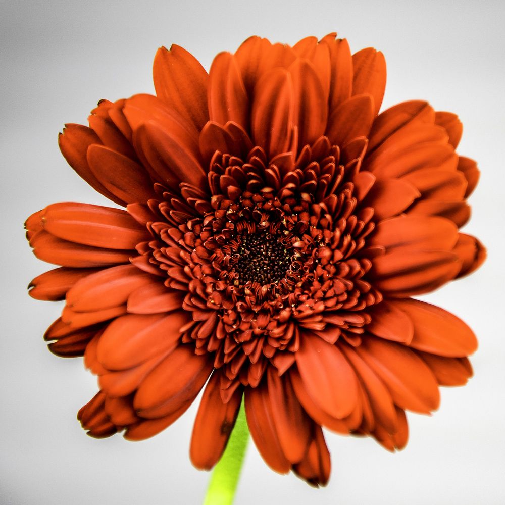 Фотография автора Raymond Asiala