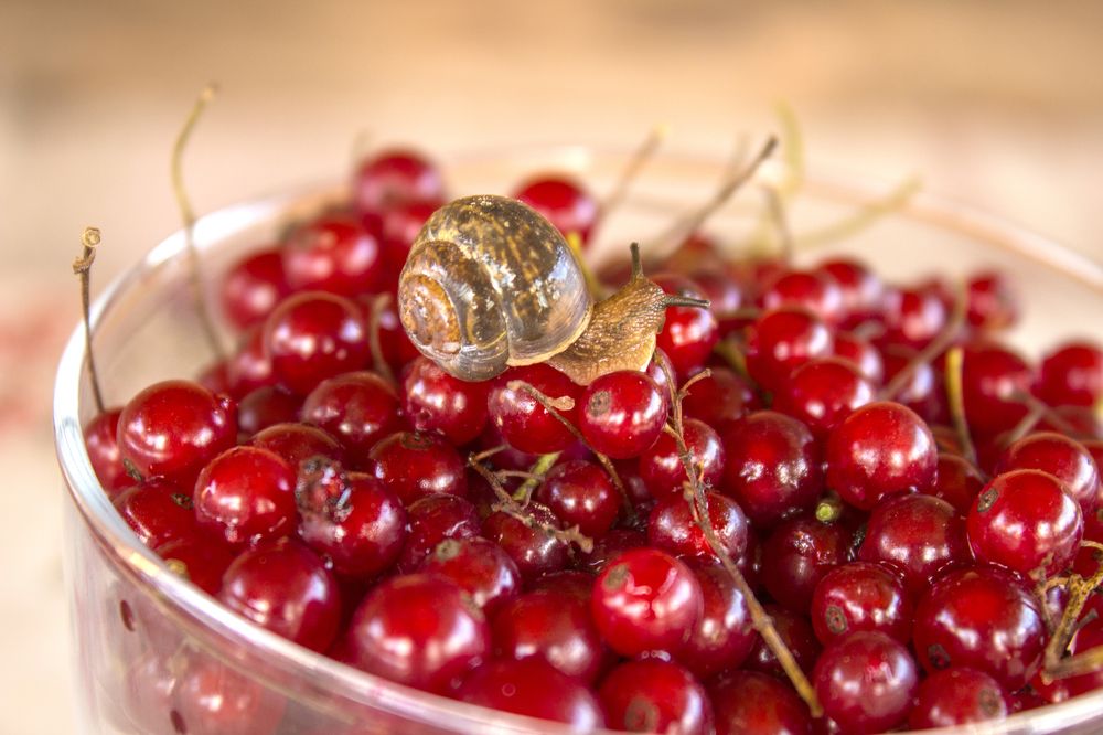 Photograph by Наталия Никитинская